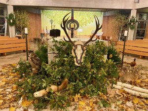 Hubertusmesse 2025 @ Kirche zu Ahlerstedt